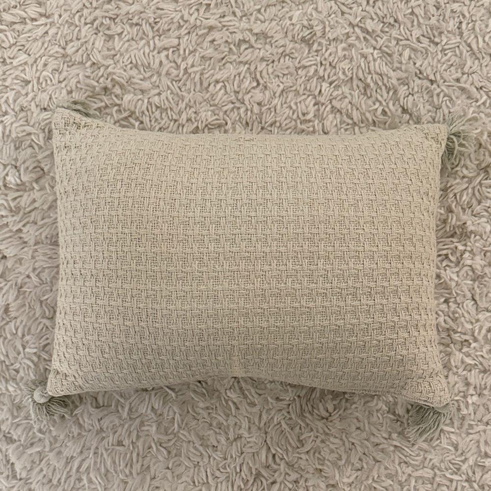 Woven Light Green Decorative Pillow
